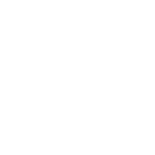 Bank Transfer