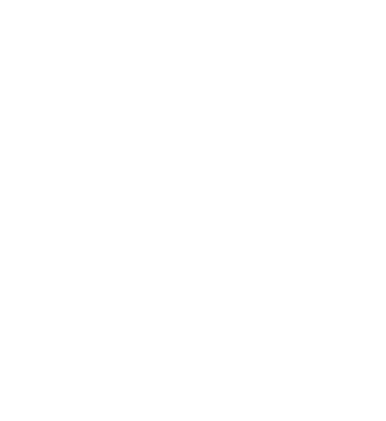 PayOut